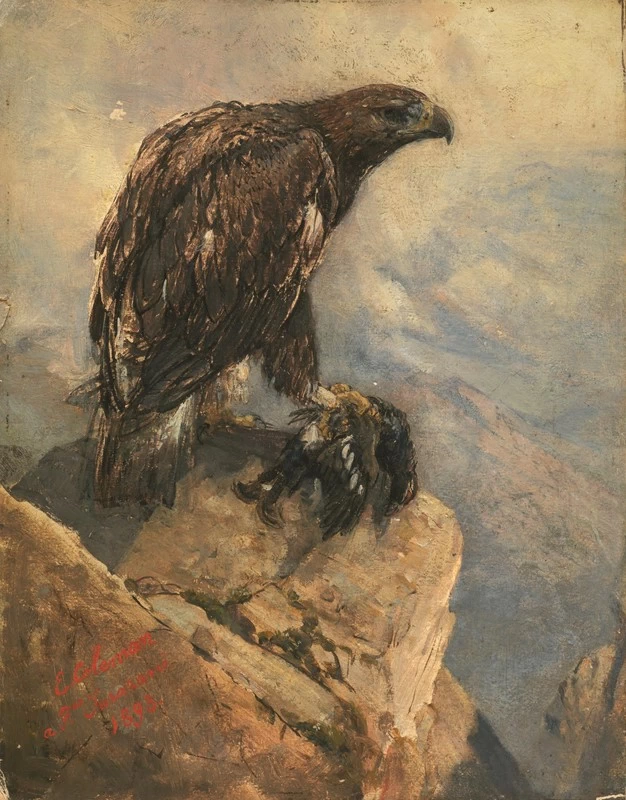 L'aquila